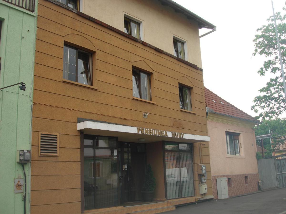 Pensiunea Mury Braşov Buitenkant foto